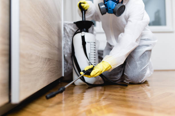 Reliable North Amityville, NY Pest Control Solutions