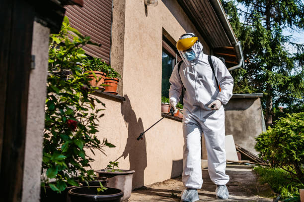 Best Best Pest Control Companies  in North Amityville, NY