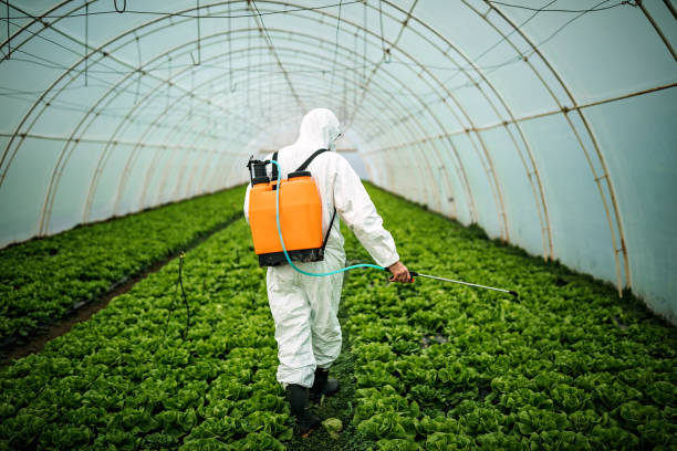 Best Pest Inspection Near Me  in North Amityville, NY
