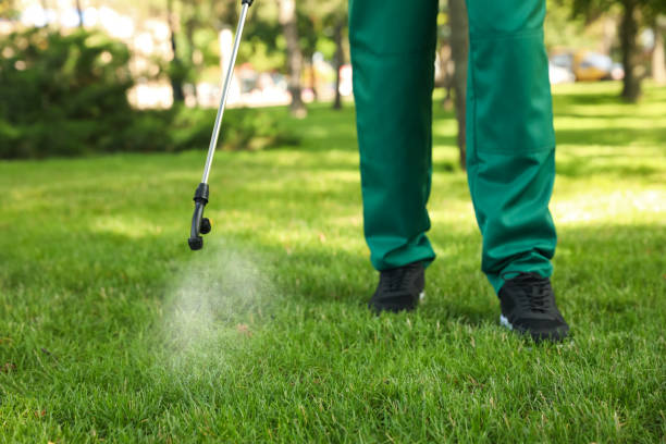 Best Termite Control Services  in North Amityville, NY