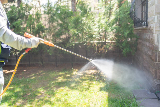 Flea Control Services in North Amityville, NY