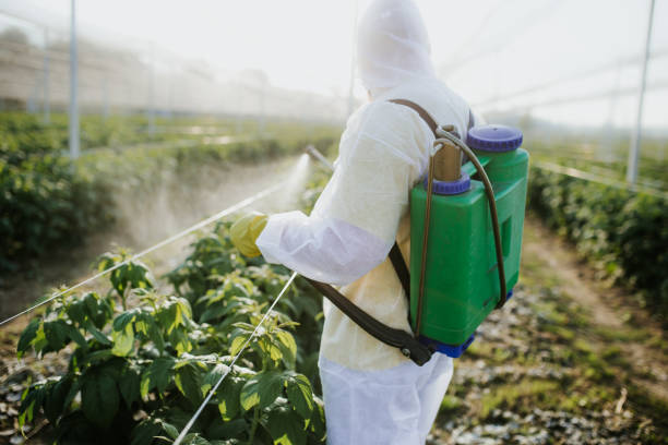 Best Exterminator Services  in North Amityville, NY